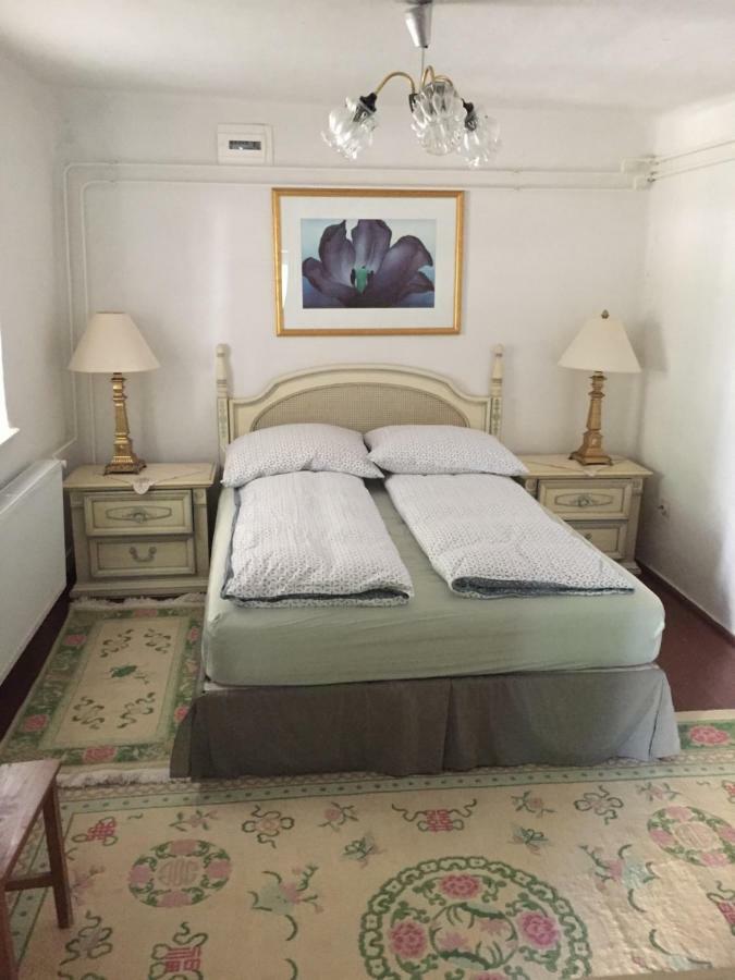 Farm House Domaszék Екстериор снимка