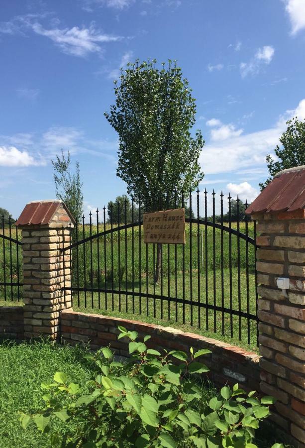 Farm House Domaszék Екстериор снимка